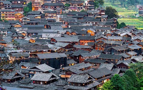 东丽乡村别墅的靠谱依赖